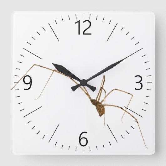 Spider Quadratische Wanduhr (Vorderseite)