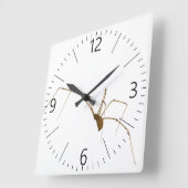 Spider Quadratische Wanduhr (Winkel)