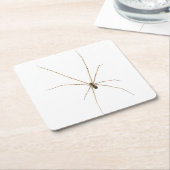 Spider Rechteckiger Pappuntersetzer (angewinkelt)