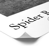 Spider Rock, Canyon de Chelly Poster (Ecke)