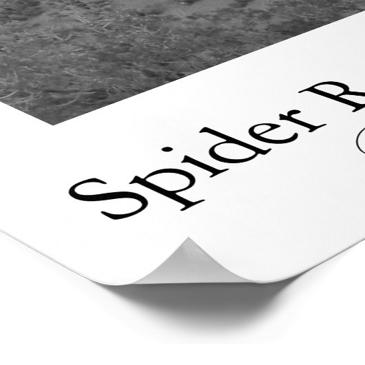 Spider Rock, Canyon de Chelly Poster (Ecke)