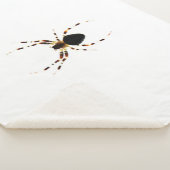 Spider sbcna sherpadecke (3/4)