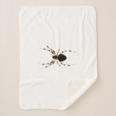 Spider sbcna sherpadecke (Vorderseite)
