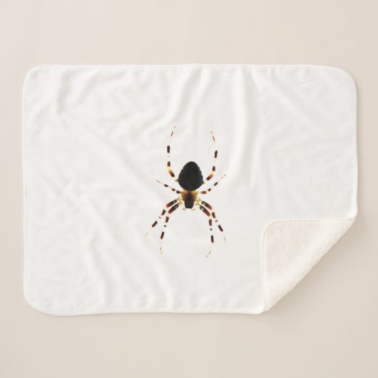 Spider sbcna sherpadecke (Vorderseite (Horizontal))