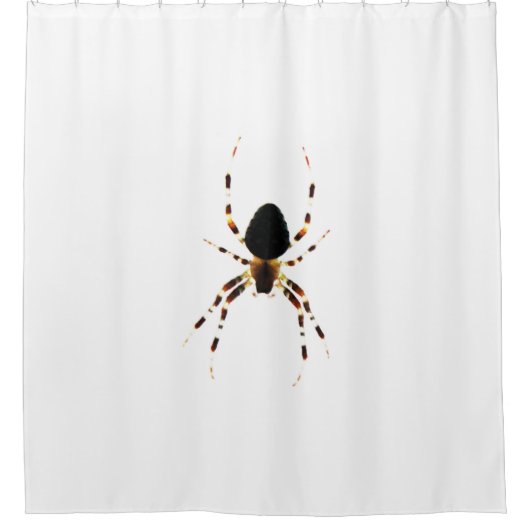 Spider sccna duschvorhang (Vorderseite)
