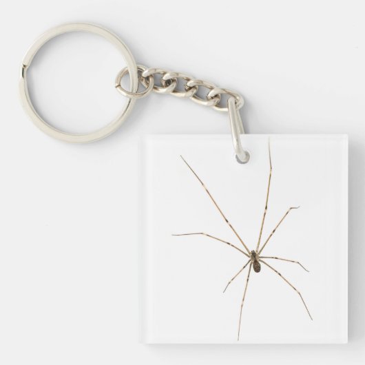 Spider Schlüsselanhänger (Vorderseite)