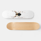 Spider sdcna skateboard (Horizontal)
