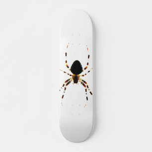 Spider sdcna skateboard