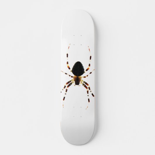 Spider sdm skateboard (Vorne)