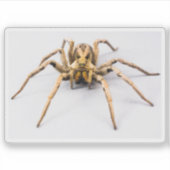 Spider Sense Aufkleber (Vorderseite)