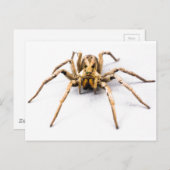 Spider Sense Postkarte (Vorne/Hinten)