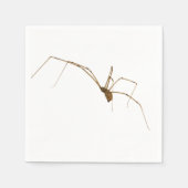 Spider Serviette (Vorderseite)