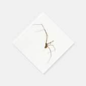 Spider Serviette (Ecke)