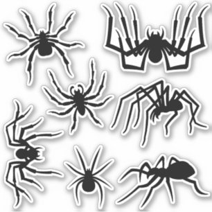Spider-Silhouetten-Aufkleber-Set Aufkleber