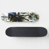 Spider Skateboard (Horizontal)