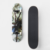 Spider Skateboard (Vorderseite)