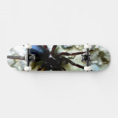 Spider Skateboard (Horizontal)