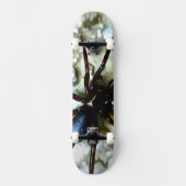 Spider Skateboard (Vorderseite)
