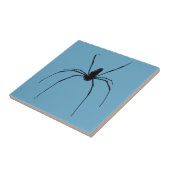 Spider Small (4,25" x 4,25") Keramik Foto Tile Fliese (Seite)