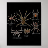 Spider Species Tarantula Arachnid Gifts Spinne Poster (Vorne)