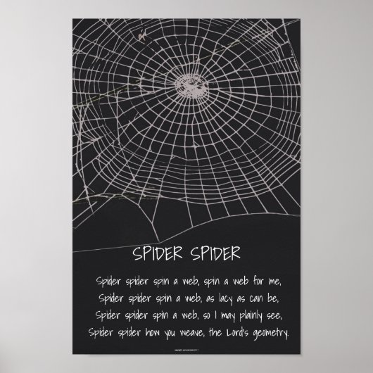 Spider Spider Poster (Vorne)