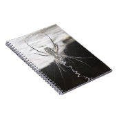 Spider Spiral Notebook Notizblock (Rechte Seite)