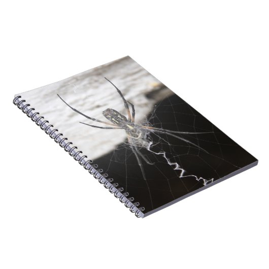 Spider Spiral Notebook Notizblock (Rechte Seite)