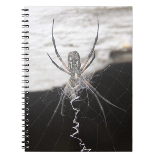 Spider Spiral Notebook Notizblock (Vorderseite)