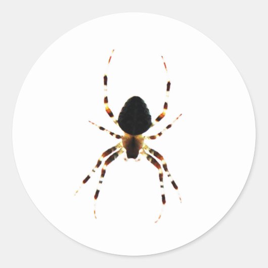 Spider st arc2 runder aufkleber (Vorderseite)