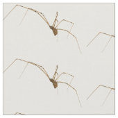 Spider Stoff (Nahaufnahme)