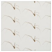 Spider Stoff (Muster)