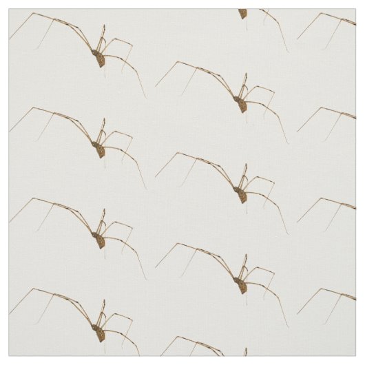 Spider Stoff (Muster)