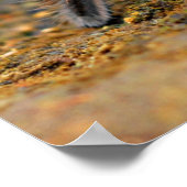 Spider Tarantula Insektenkunst Foto Poster (Ecke)