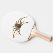 Spider Tischtennis Schläger (Seitenansicht)