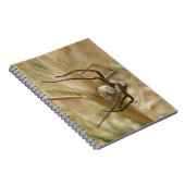 Spider und Egg Sac Notebook Notizblock (Rechte Seite)
