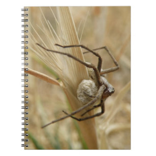 Spider und Egg Sac Notebook Notizblock