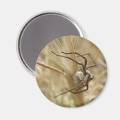 Spider und Eier Magnet (Vorderseite/Rückseite)