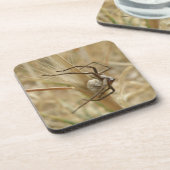 Spider und Eier Sac Cork Untersetzer (Linke Seite)