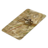 Spider und Eier Sac Premium Magnet (Linke Seite)