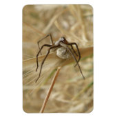 Spider und Eier Sac Premium Magnet (Vertikal)