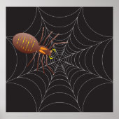 Spider und Spider Web Poster (Vorne)