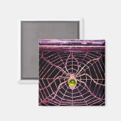 SPIDER UND WEB-Gelbes Topaz Schwarz Magnet (Vorderseite/Rückseite)