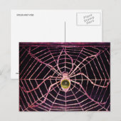 SPIDER UND WEB Grau Agate Black Postkarte (Vorne/Hinten)