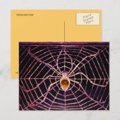 SPIDER UND WEB Orange Agate Black Postkarte (Vorne/Hinten)