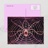SPIDER UND WEB Pink Fuchsia Amethyst Black Postkarte (Vorne/Hinten)
