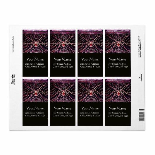 SPIDER UND WEB Pink Fuchsia Ruby Black (Vorne)