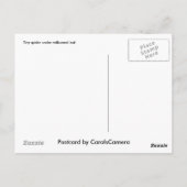 Spider Under Milkweed Leaf Postcard Postkarte (Rückseite)