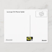 Spider Underside Postcard Postkarte (Rückseite)