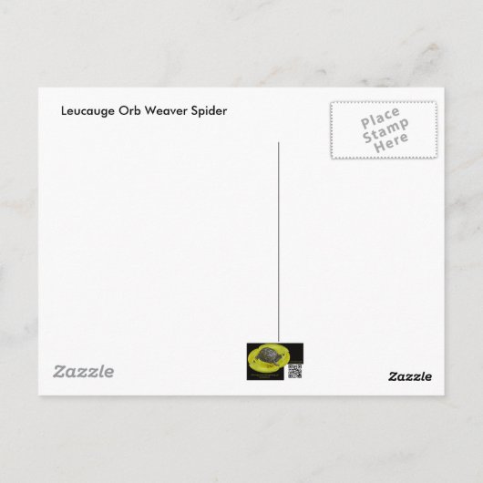 Spider Underside Postcard Postkarte (Rückseite)