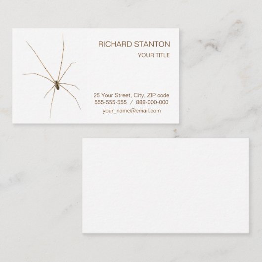 Spider Visitenkarte (Vorne/Hinten)